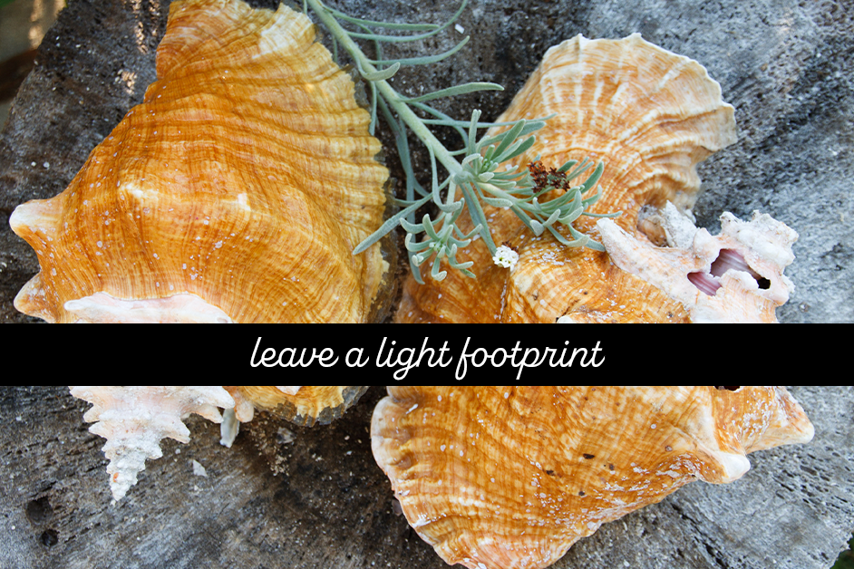 Leave a light footprint