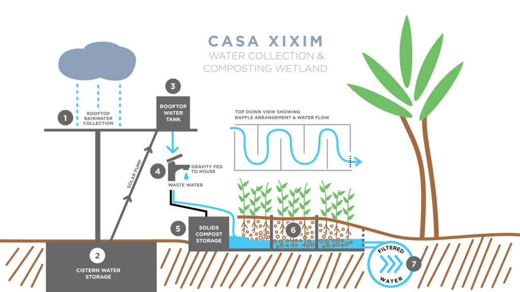 Casa Xixim Wetlands and Water Collection